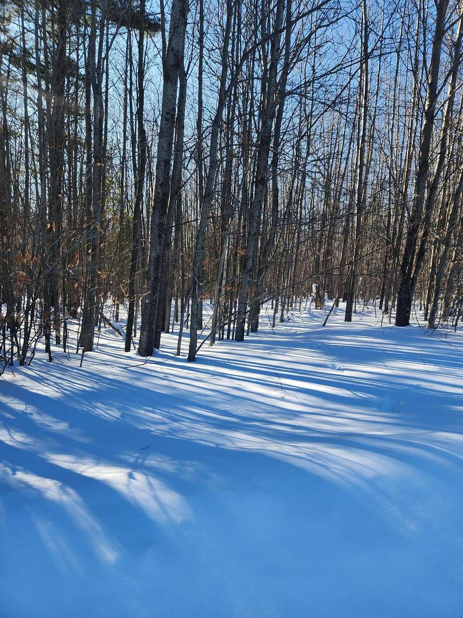 2 Acres of Residential Land for Sale in Onekama, Michigan