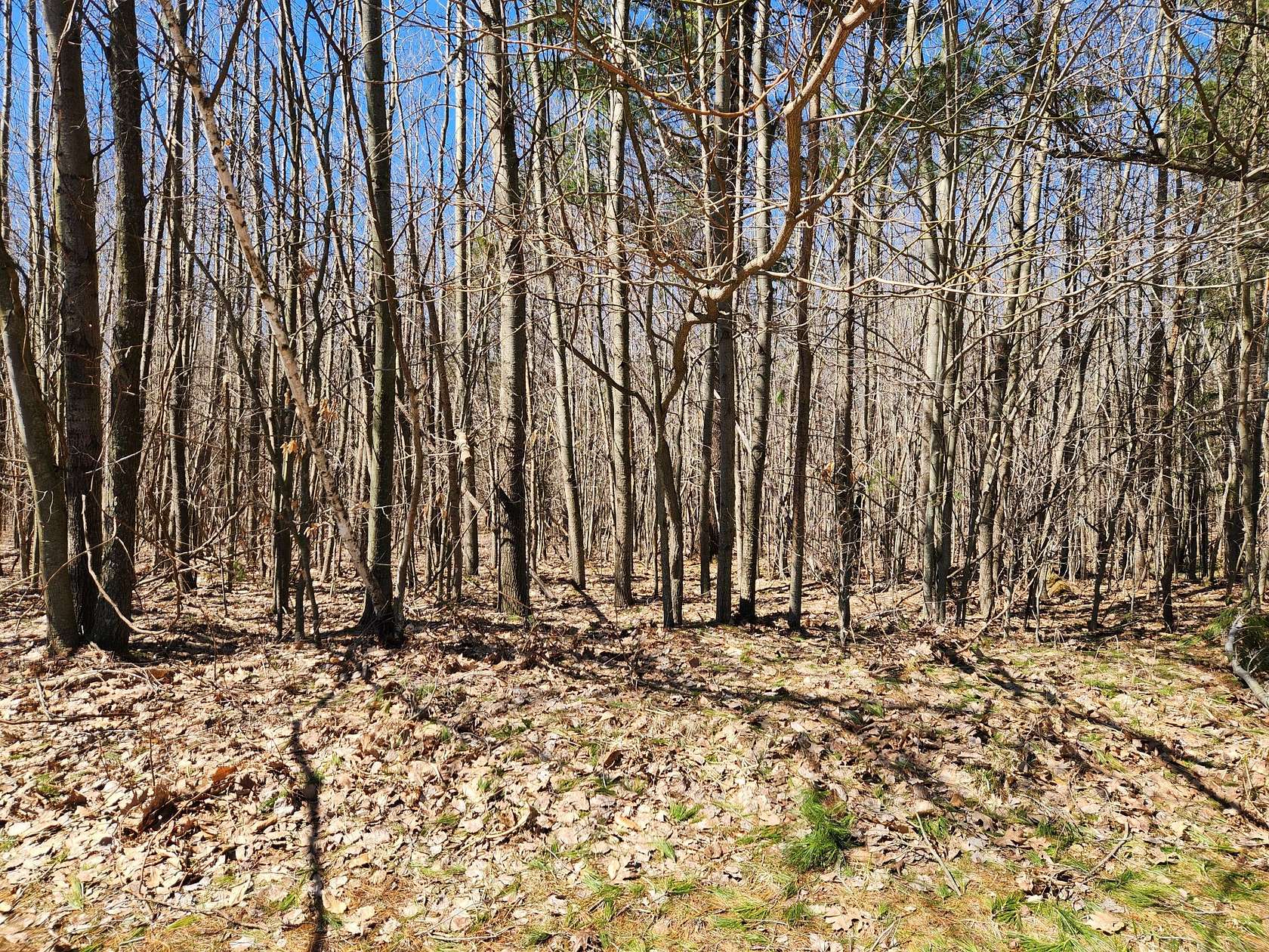 2 Acres of Residential Land for Sale in Onekama, Michigan