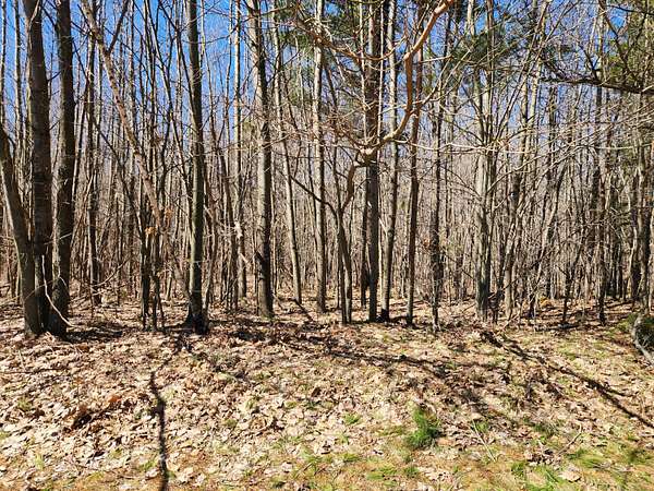 2 Acres of Residential Land for Sale in Onekama, Michigan