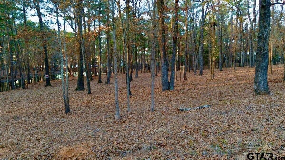 0.88 Acres of Residential Land for Sale in Flint, Texas