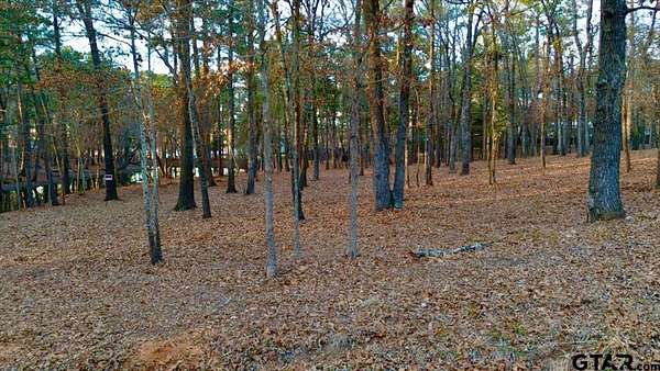 0.88 Acres of Residential Land for Sale in Flint, Texas