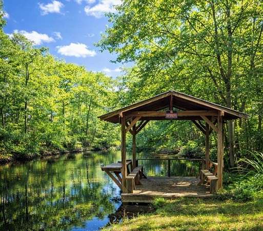 0.97 Acres of Land for Sale in Floral City, Florida