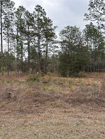 0.24 Acres of Residential Land for Sale in Dunnellon, Florida