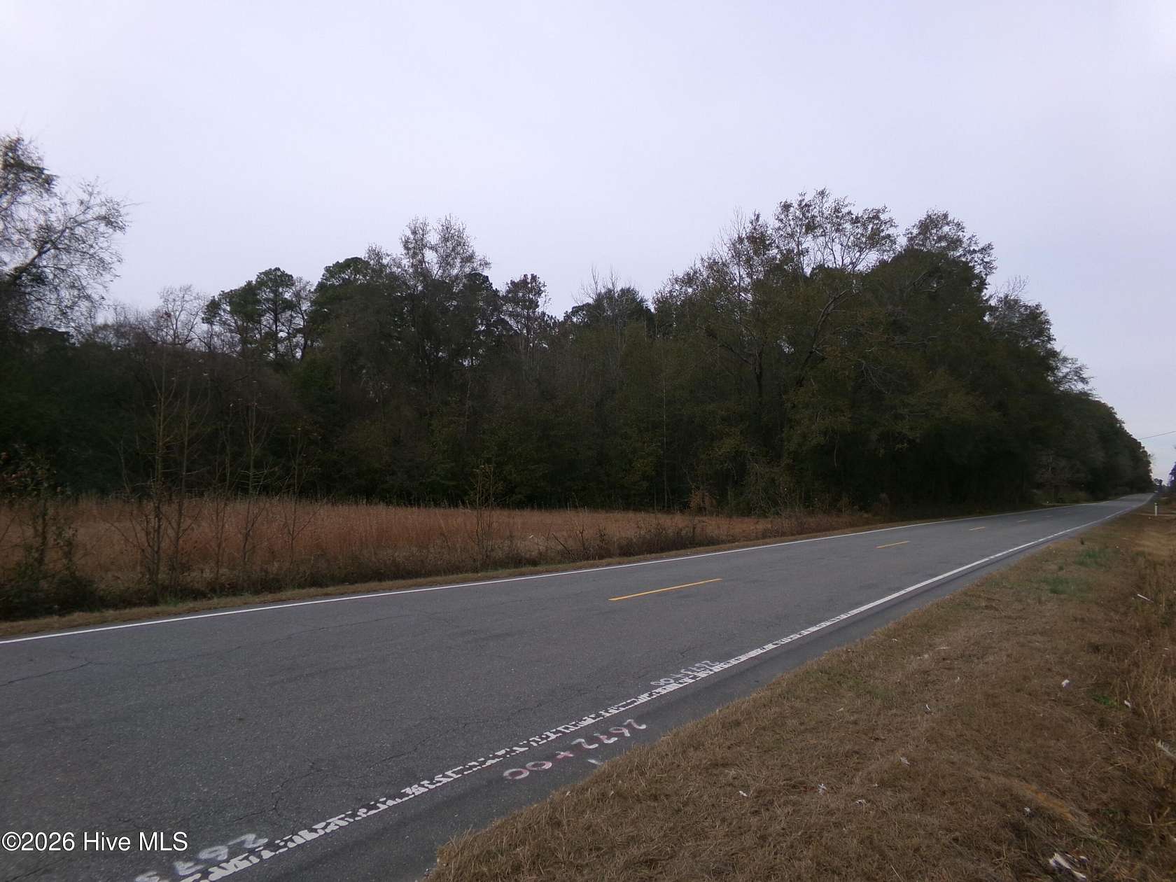 3.67 Acres of Land for Sale in Ivanhoe, North Carolina