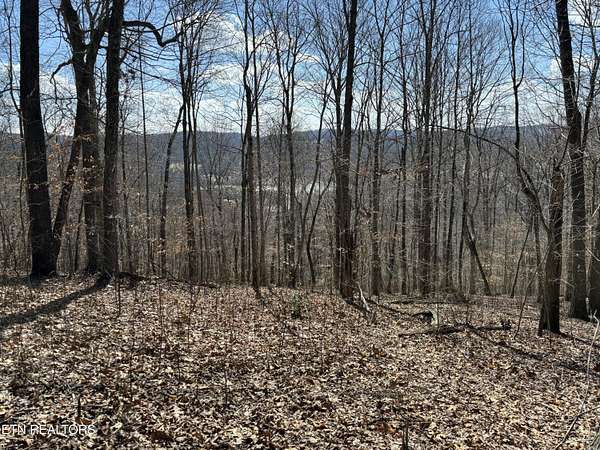 11.2 Acres of Land for Sale in Sharps Chapel, Tennessee