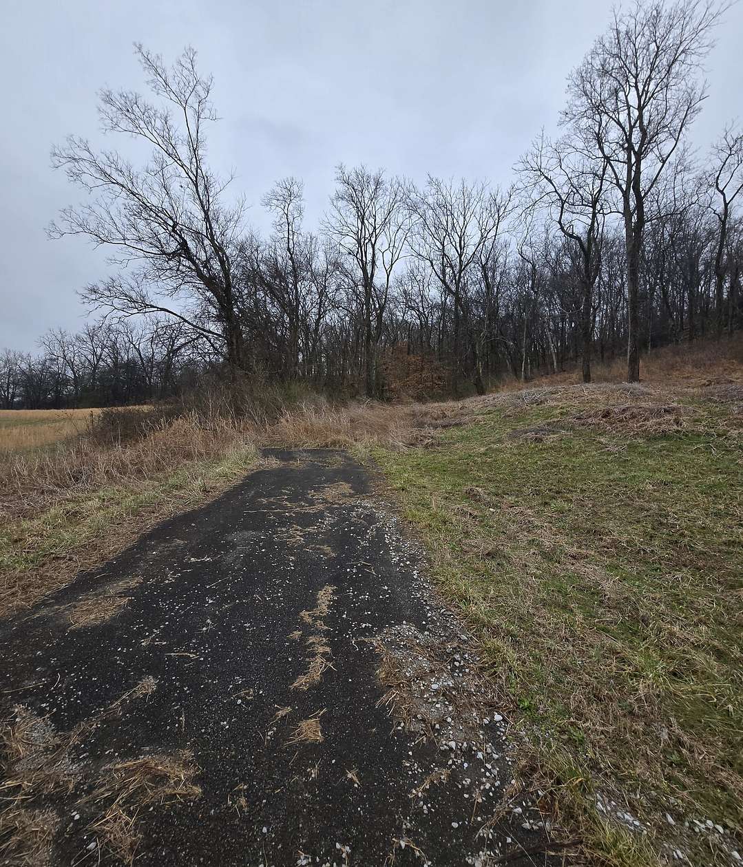 0.95 Acres of Residential Land for Sale in Pulaski, Tennessee