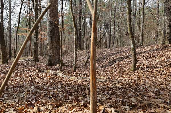 39 Acres of Recreational Land for Sale in Arcadia, Louisiana