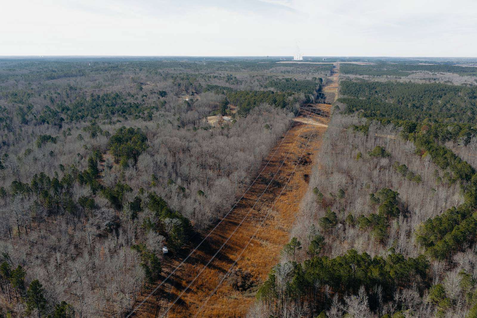 73.5 Acres of Recreational & Residential Land for Sale in Ackerman, Mississippi