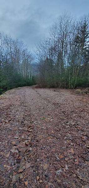 4.65 Acres of Land for Sale in Wrangell, Alaska