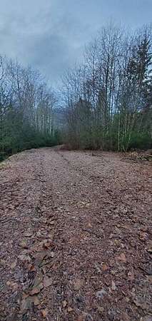 4.65 Acres of Land for Sale in Wrangell, Alaska
