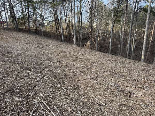 1.2 Acres of Residential Land for Sale in Smithville, Tennessee