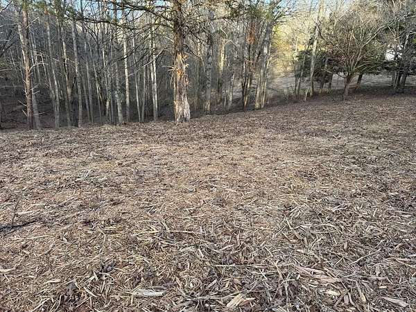 1.2 Acres of Land for Sale in Smithville, Tennessee