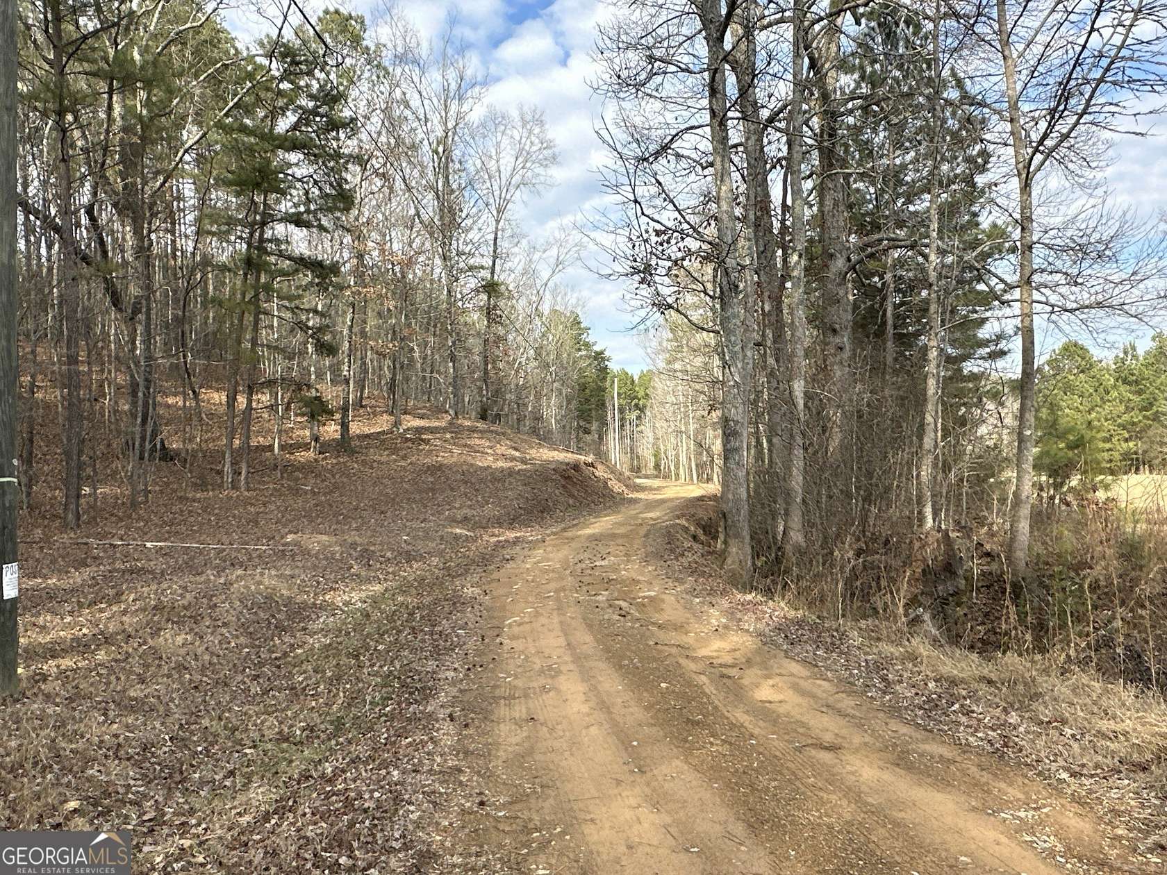 50.7 Acres of Land for Sale in Cedartown, Georgia