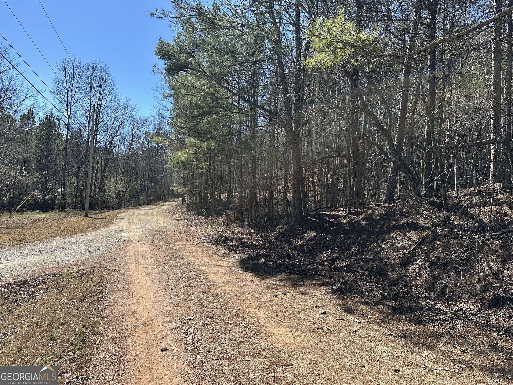 50.7 Acres of Recreational Land for Sale in Cedartown, Georgia
