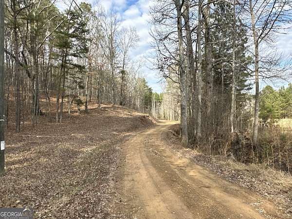 50.7 Acres of Land for Sale in Cedartown, Georgia