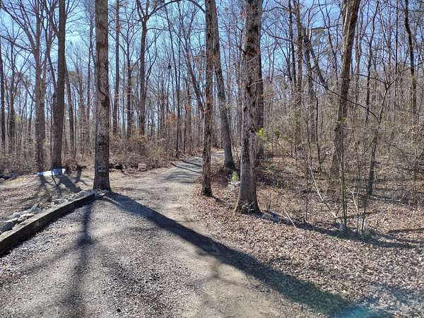 13 Acres of Recreational & Residential Land for Sale in Jasper, Alabama