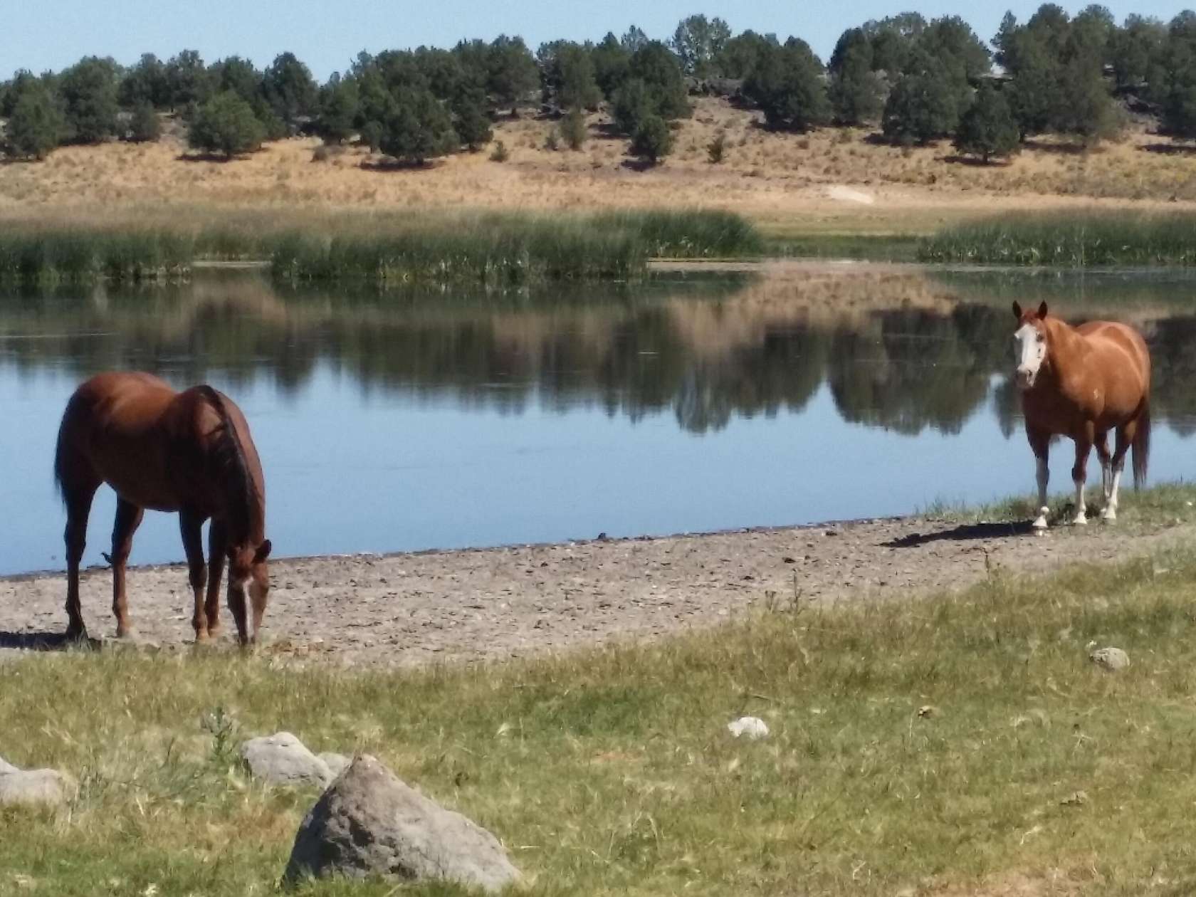 160 Acres of Land for Sale in Sprague River, Oregon