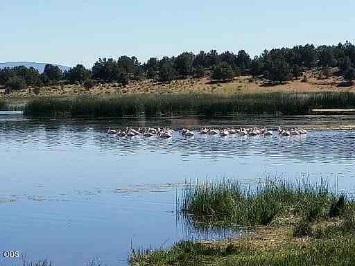 160 Acres of Land for Sale in Sprague River, Oregon