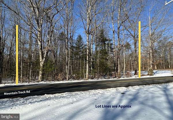 32 Acres of Land for Sale in Orange, Virginia