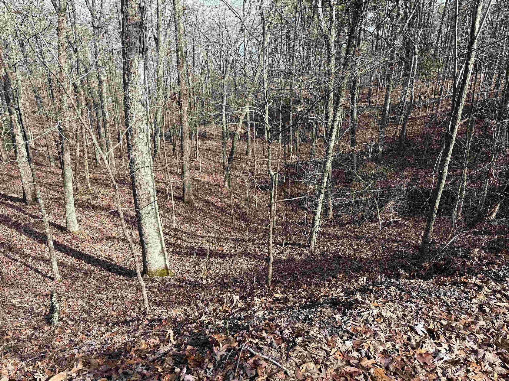 0.2 Acres of Residential Land for Sale in Heber Springs, Arkansas