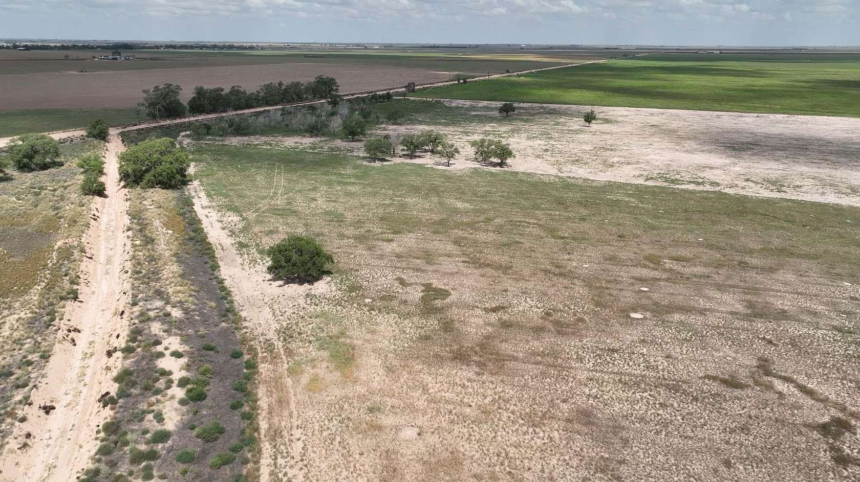 50 Acres of Agricultural Land for Sale in Muleshoe, Texas