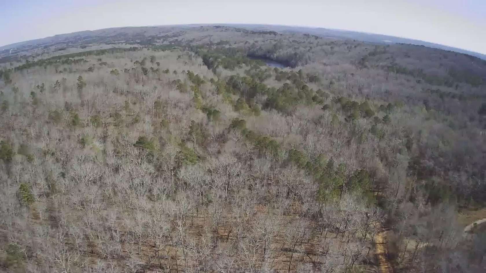 20.6 Acres of Recreational & Residential Land for Sale in Manchester, Georgia