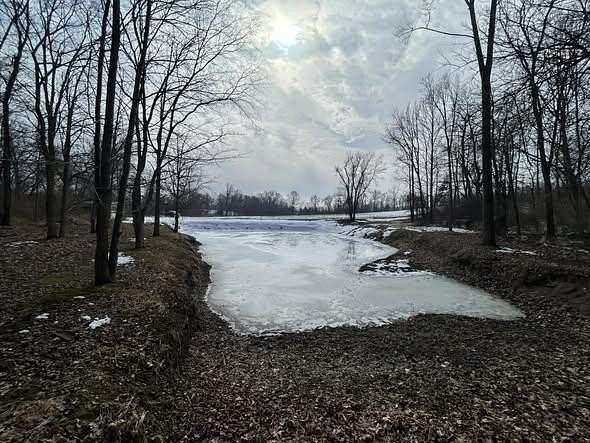 37.6 Acres of Recreational Land for Sale in Pittsford, Michigan