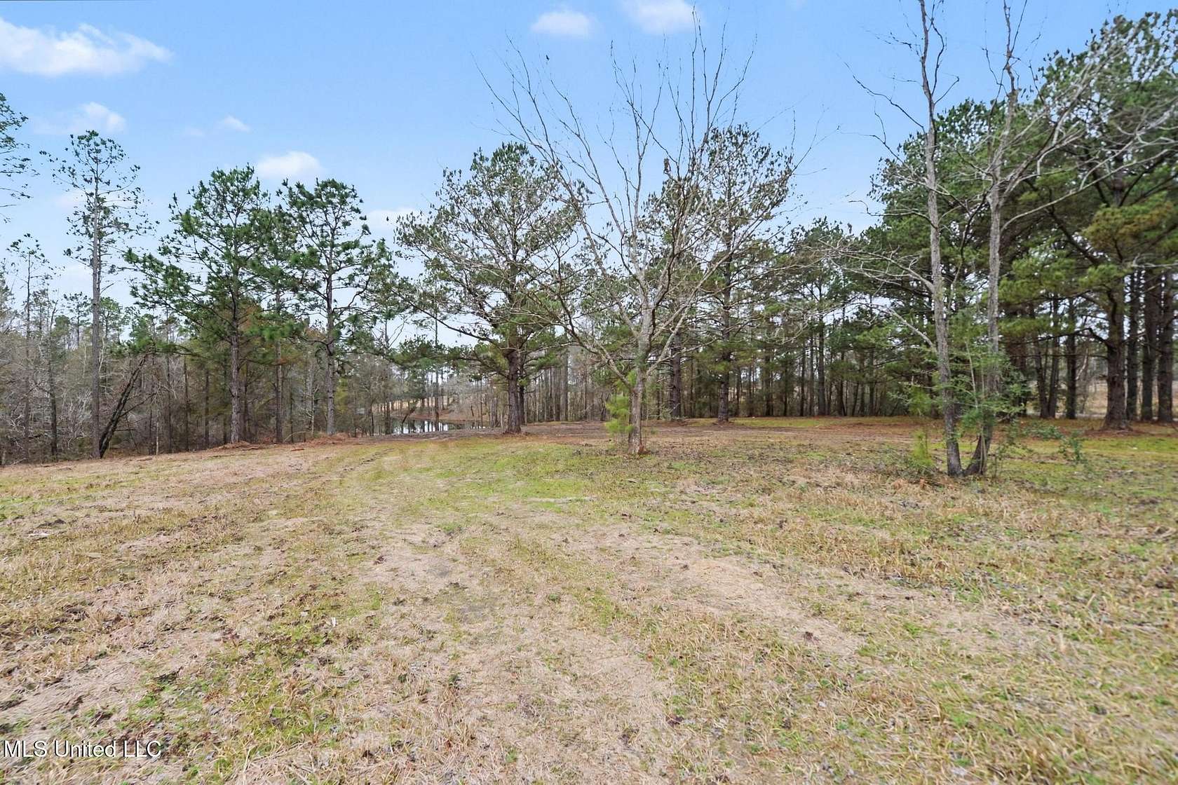 20 Acres of Land for Sale in Lucedale, Mississippi