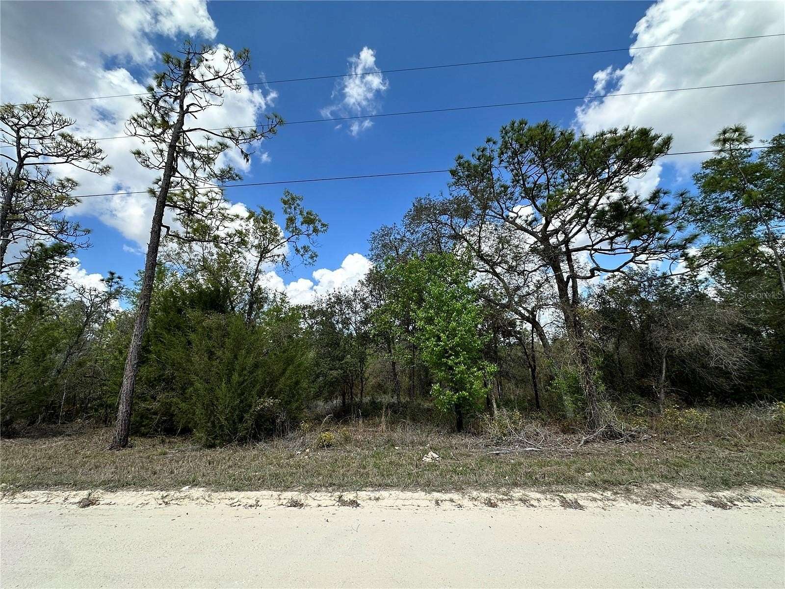 0.83 Acres of Residential Land for Sale in Williston, Florida
