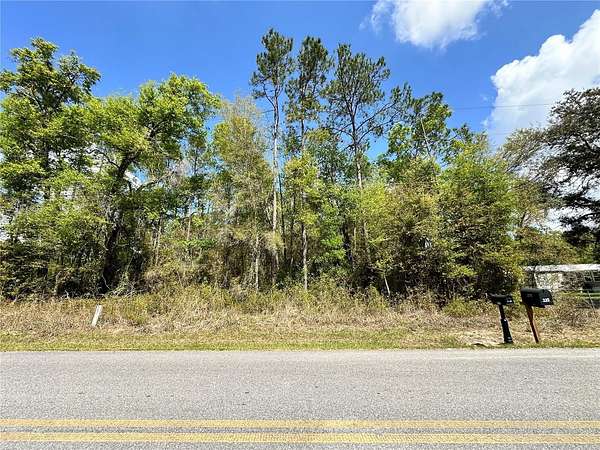 0.46 Acres of Residential Land for Sale in Bronson, Florida