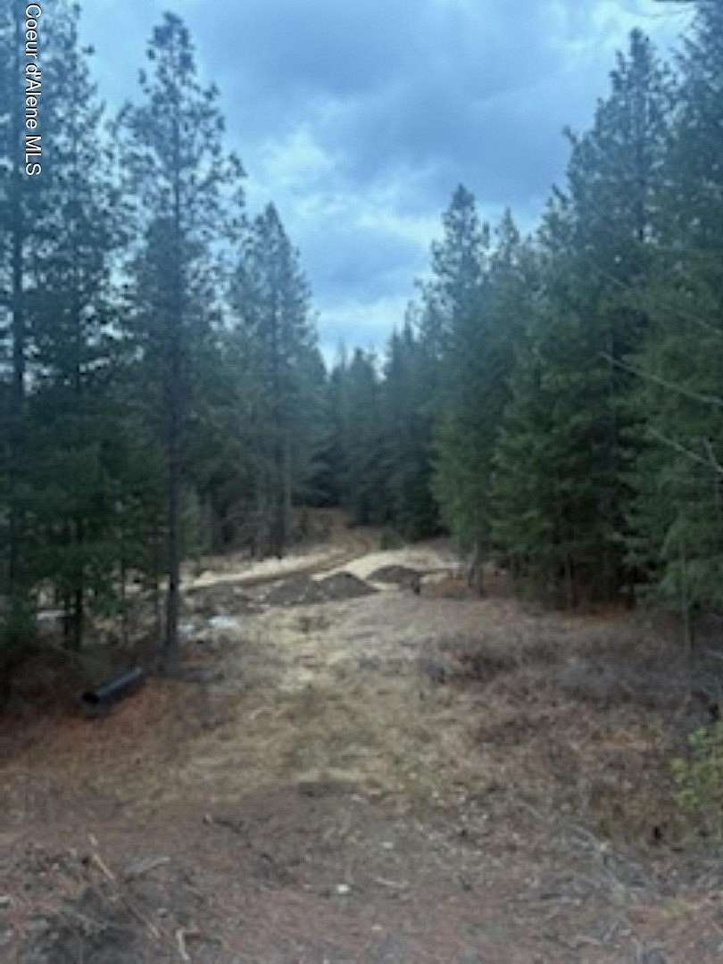 10 Acres of Residential Land for Sale in Sagle, Idaho
