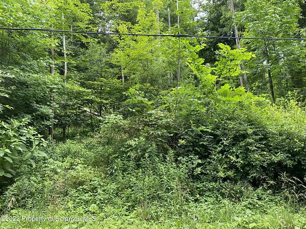 0.99 Acres of Residential Land for Sale in South Abington Township, Pennsylvania