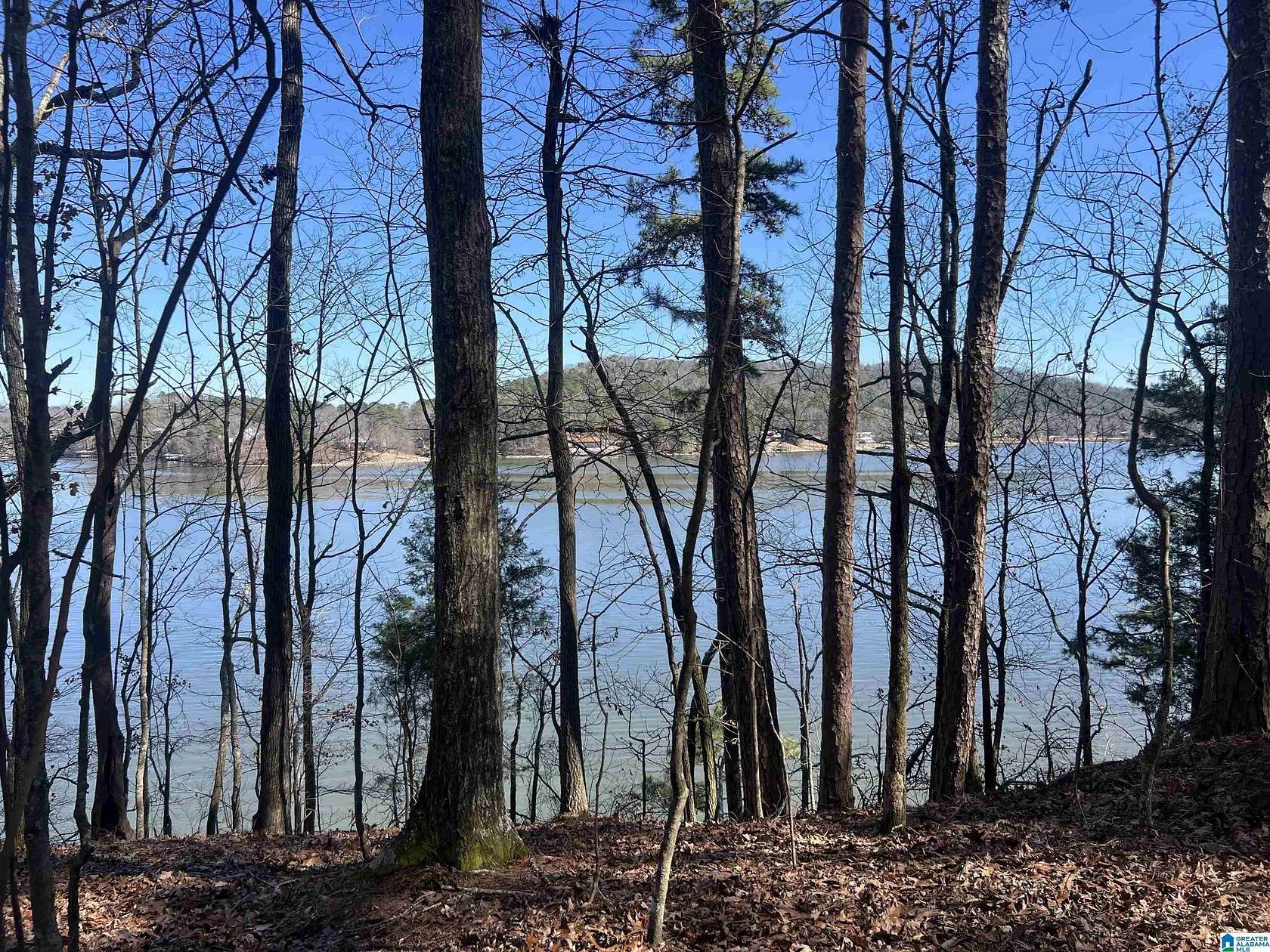 1.3 Acres of Land for Sale in Cropwell, Alabama