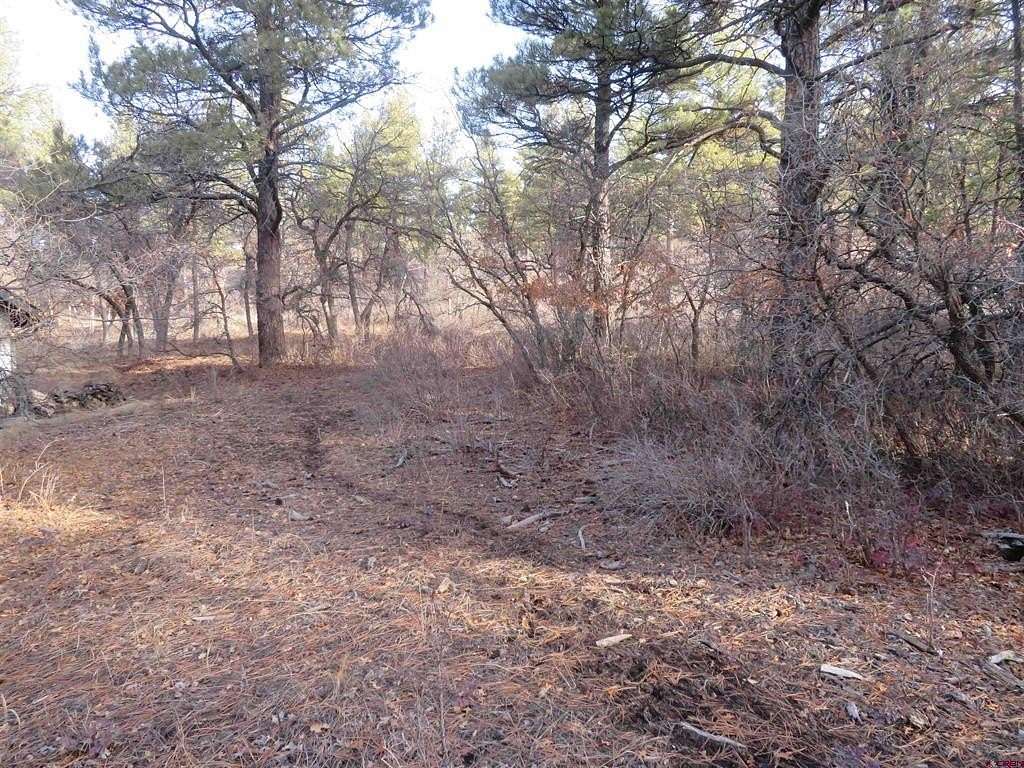0.32 Acres of Residential Land for Sale in Pagosa Springs, Colorado