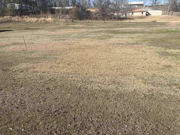 0.38 Acres of Land for Sale in Daisy, Arkansas