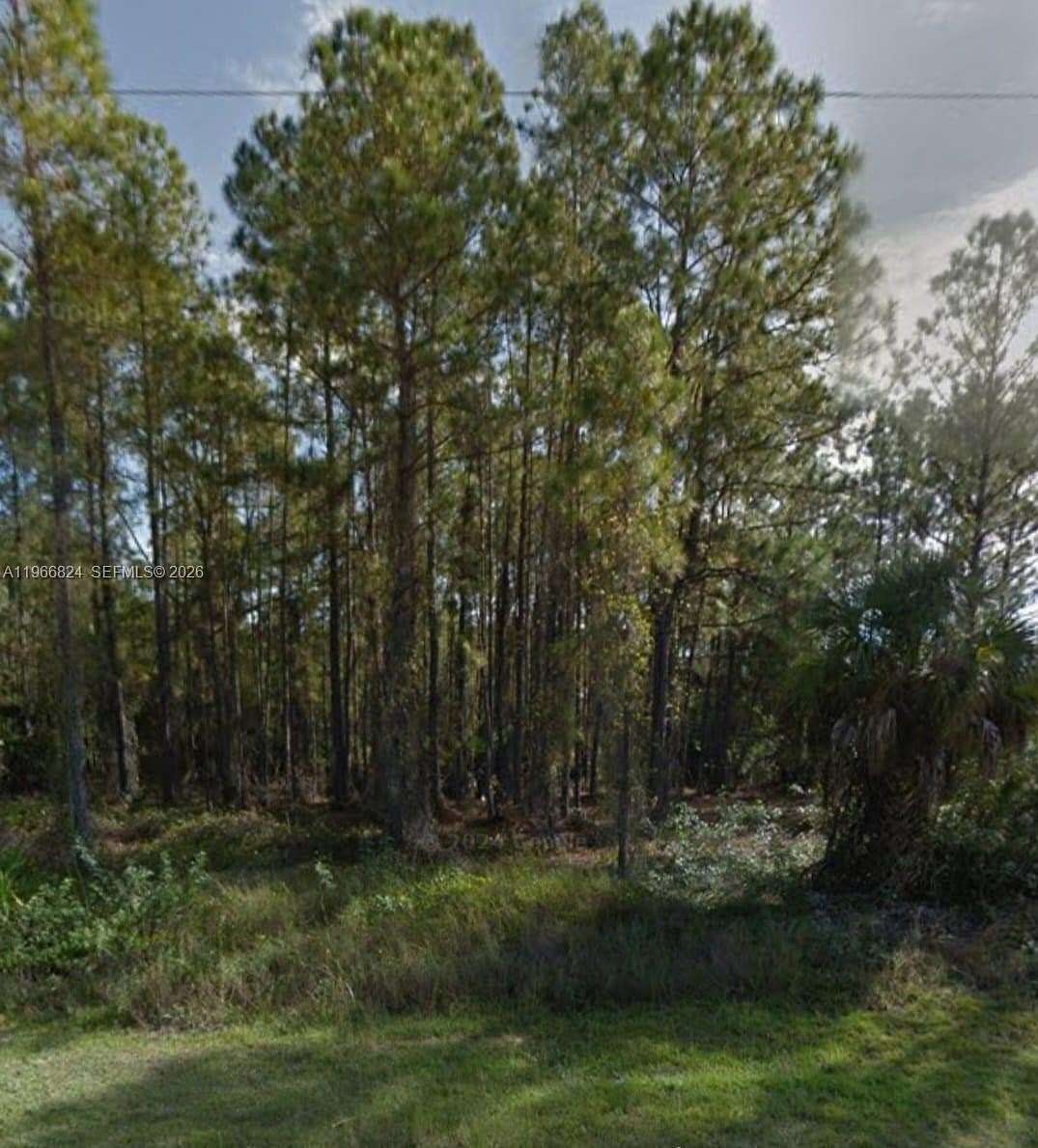 0.3 Acres of Residential Land for Sale in Lehigh Acres, Florida