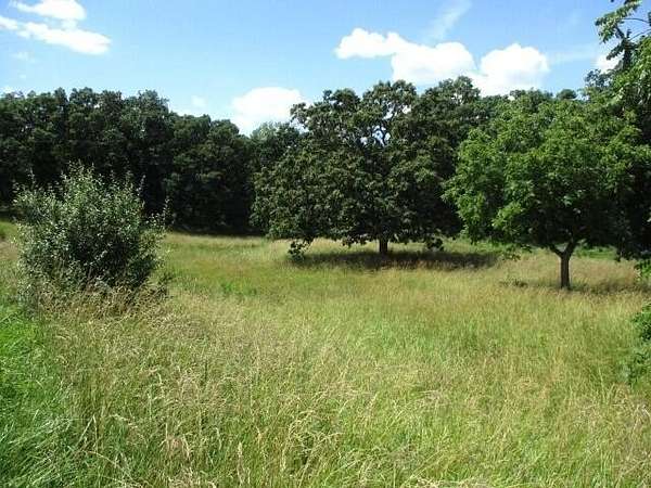 10.7 Acres of Land for Sale in Centralia, Missouri