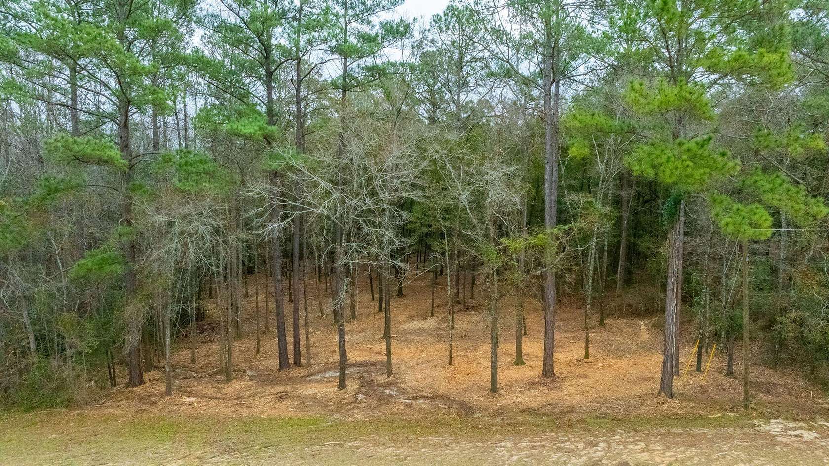 0.46 Acres of Residential Land for Sale in Laurel Hill, Florida