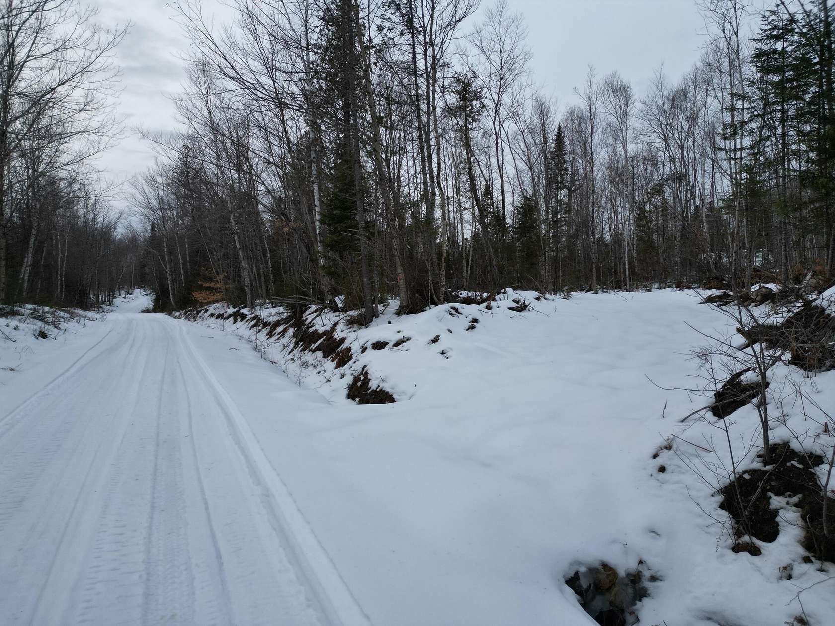 24.8 Acres of Recreational Land for Sale in Springfield, Maine