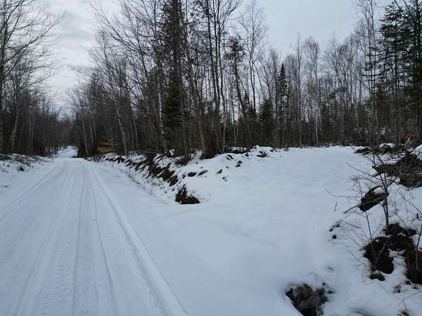 24.8 Acres of Recreational Land for Sale in Springfield, Maine