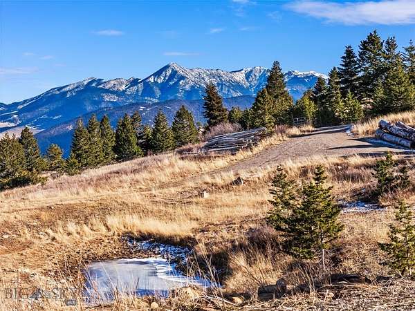 30 Acres of Recreational & Residential Land for Sale in Livingston, Montana