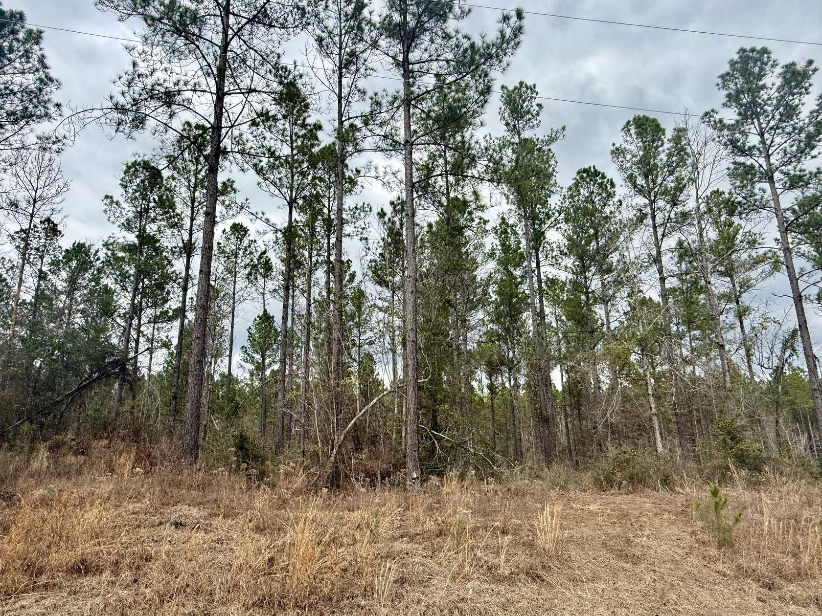 6 Acres of Land for Sale in Sumrall, Mississippi