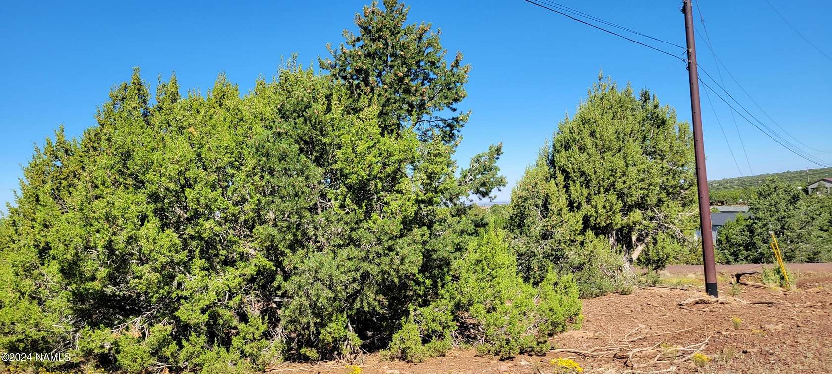 1 Acre of Residential Land for Sale in Williams, Arizona