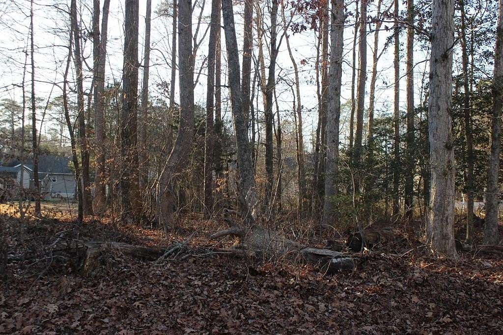 0.28 Acres of Residential Land for Sale in Greenbackville, Virginia