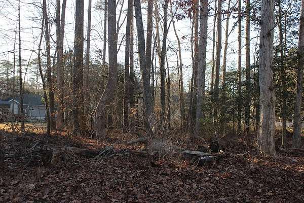0.28 Acres of Residential Land for Sale in Greenbackville, Virginia