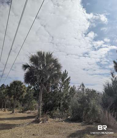 10 Acres of Land for Sale in Summerdale, Alabama