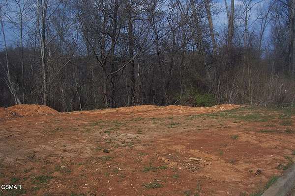 1 Acre of Residential Land for Sale in Dandridge, Tennessee