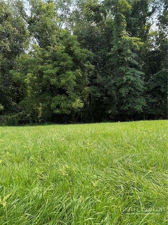 1 Acre of Land for Sale in Sparta, North Carolina