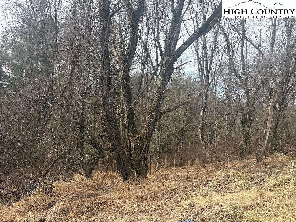 0.73 Acres of Residential Land for Sale in Sparta, North Carolina