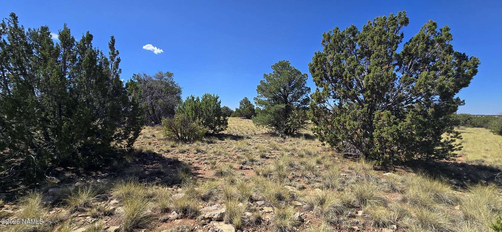 1 Acre of Residential Land for Sale in Williams, Arizona